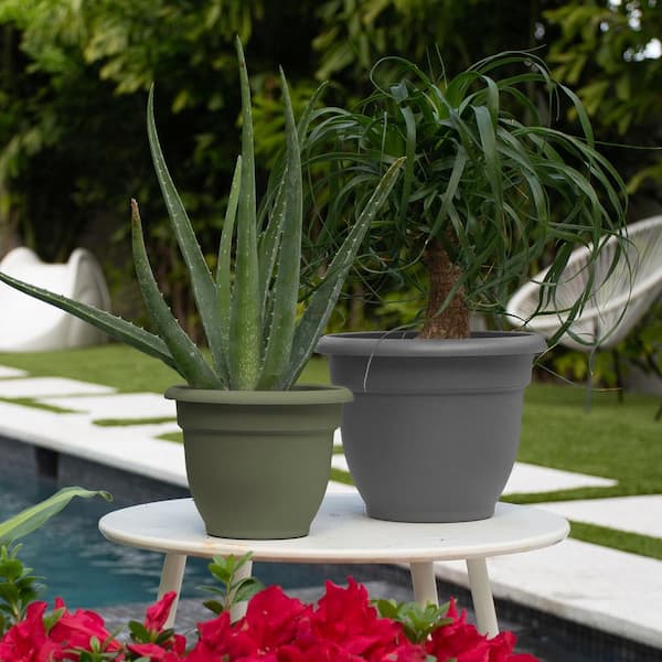 Ariana 11 in. Charcoal Grey Plastic Self-Watering Planter
