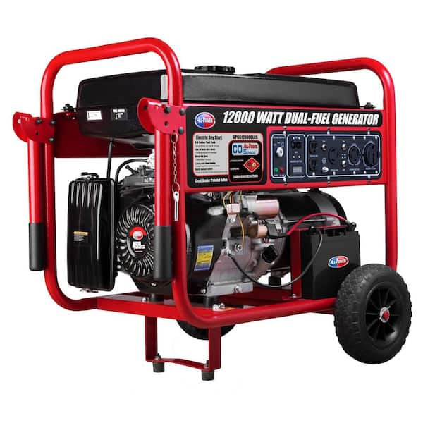 All Power 9,000-Watt Electric Start Propane and Gasoline Dual Fuel Portable  Generator with Auto CO Shutoff APGG12000GLCS - The Home Depot