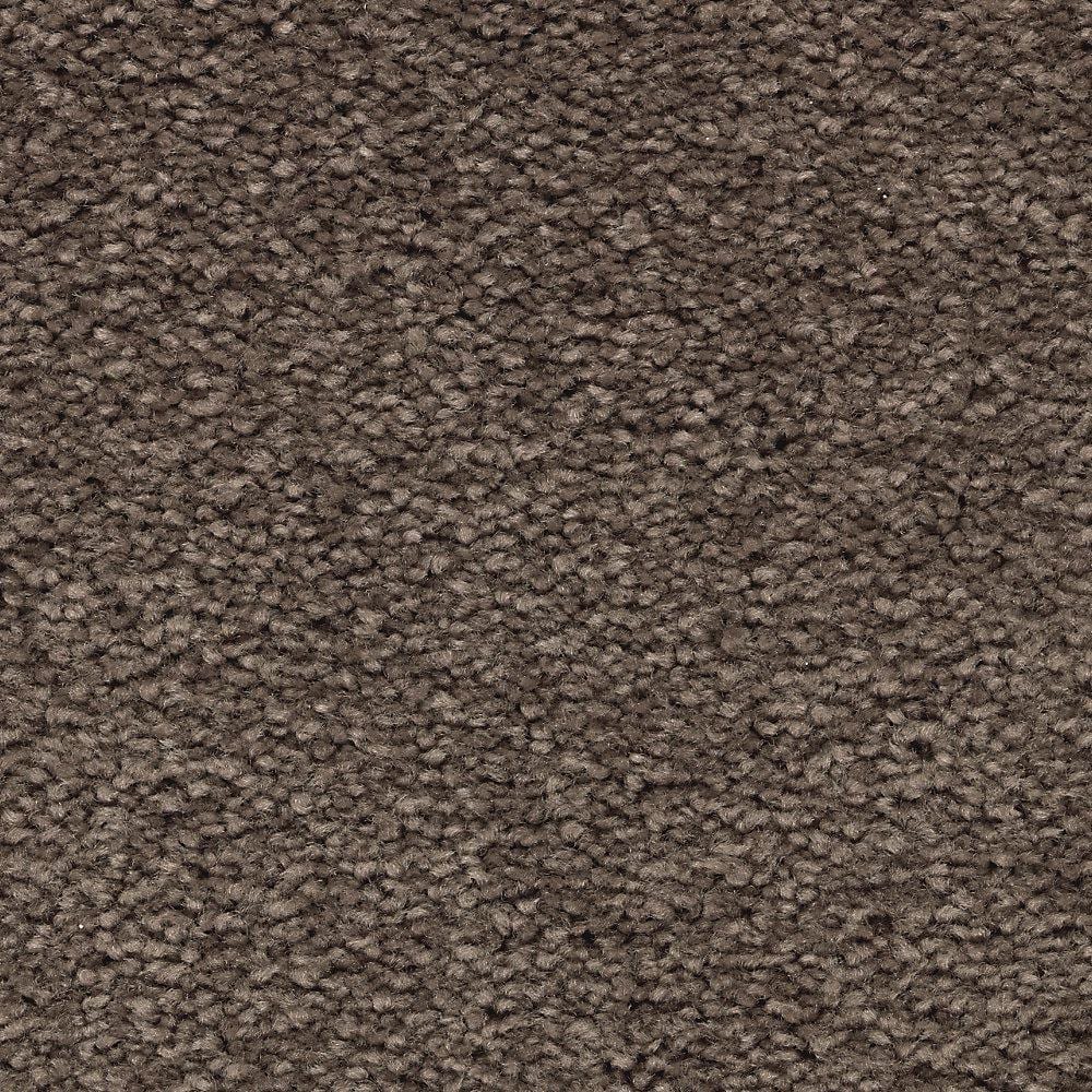 8 in. x 8 in. Texture Carpet Sample - Unblemished I -Color Rich Taupe price history on PriceWatchPro