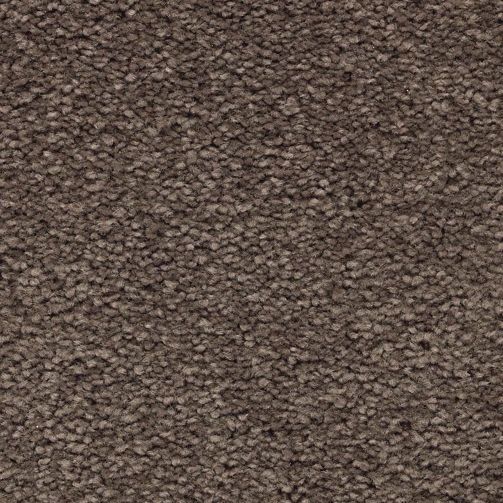 Lifeproof 8 In X 8 In Texture Carpet Sample Unblemished II Color   Rich Taupe Lifeproof Mo 550125 64 1000 