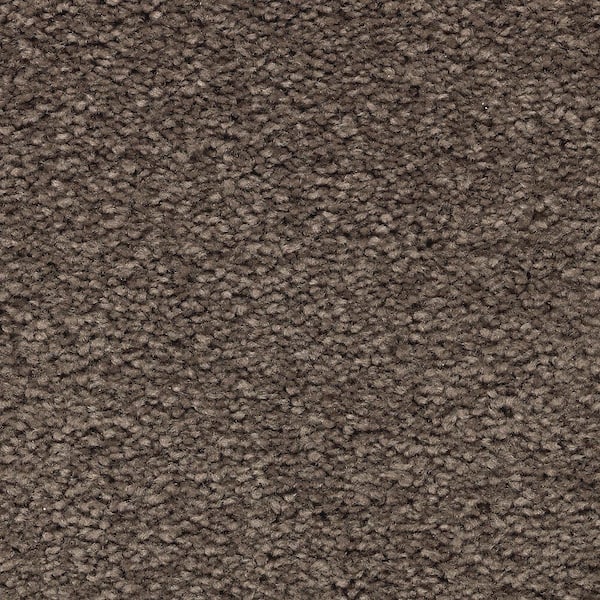 Lifeproof Unblemished I  - Rich Taupe - Brown 45 oz. Triexta Texture Installed Carpet