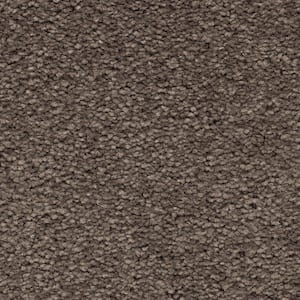 Unblemished II  - Rich Taupe - Brown 55 oz. Triexta Texture Installed Carpet