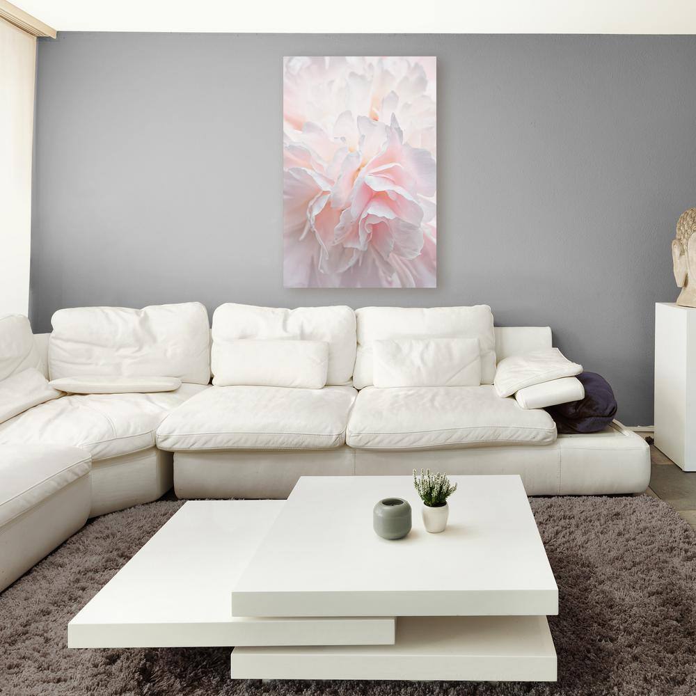Pink Peony Petals IV 16x24 Canvas Wall Art