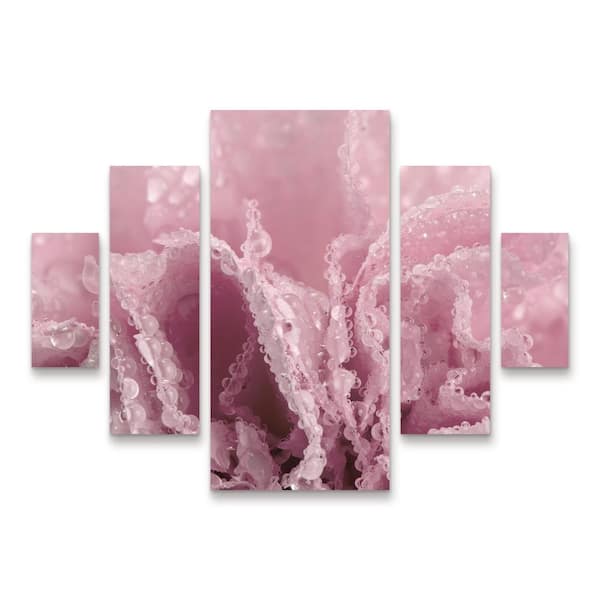Trademark Fine Art Gordon Semmens Pink Carnation 04 5-Piece Panel Set Unframed Photography Wall Art 34 in. x 44 in.