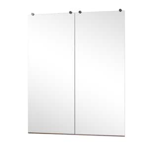 24 in. W x 60 in. H Rectangular Frameless Mount Wall Bathroom Vanity Mirror Gym Dance Mirror (Set of 2)