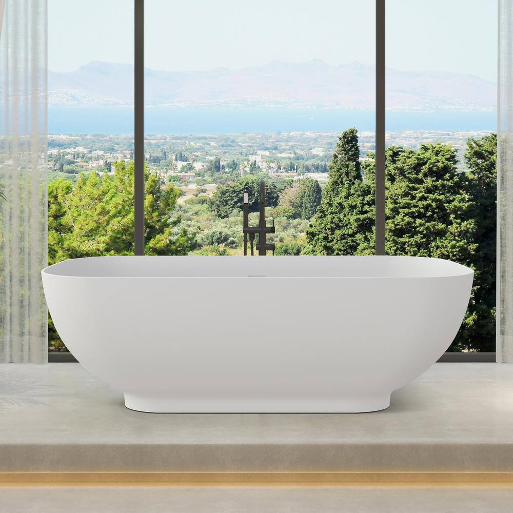 65 in. x 29.5 in. Stone Resin Solid Surface Freestanding Soaking Bathtub with Center Drain in Matte White price history on PriceWatchPro