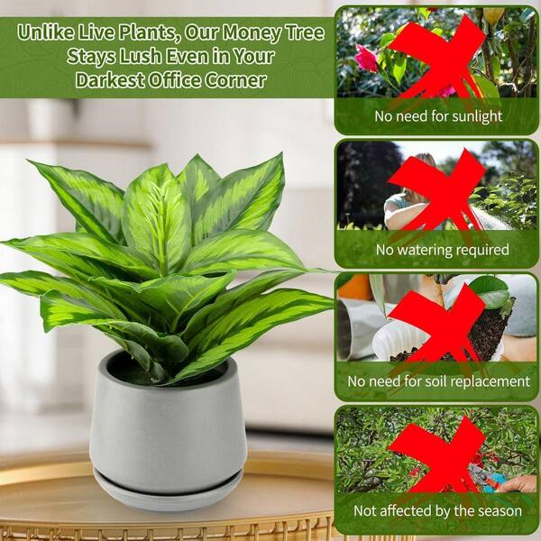narrow plant stands indoor No-Assembly Space-Saving Metal Plant Stand, Indoor & Outdoor Plant Holder, Small
