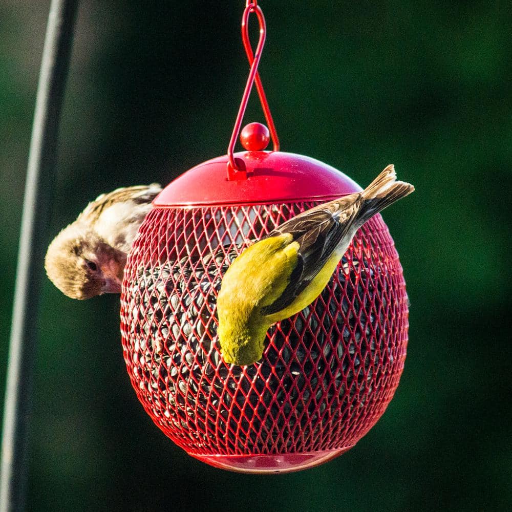 Colorful Metal Mesh Hanging Bird Feeders Set of 3