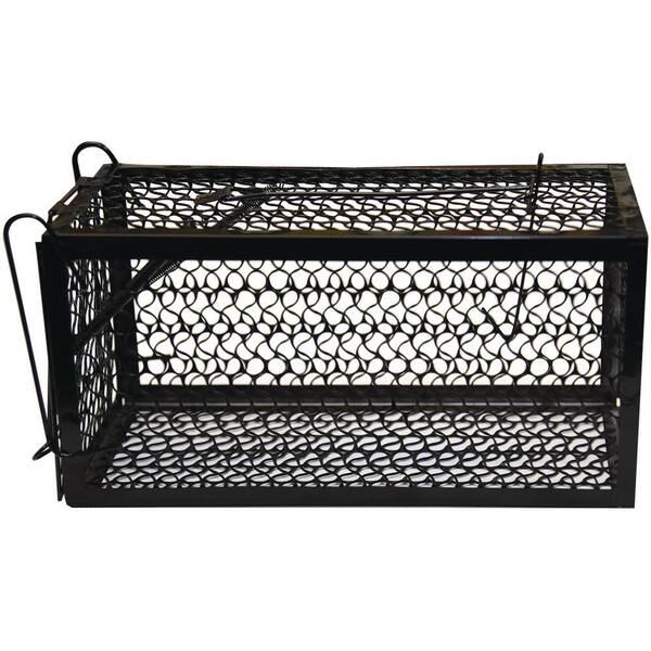 Harris Catch And Release Humane Squirrel And Rodent Cage Trap St Live The Home Depot