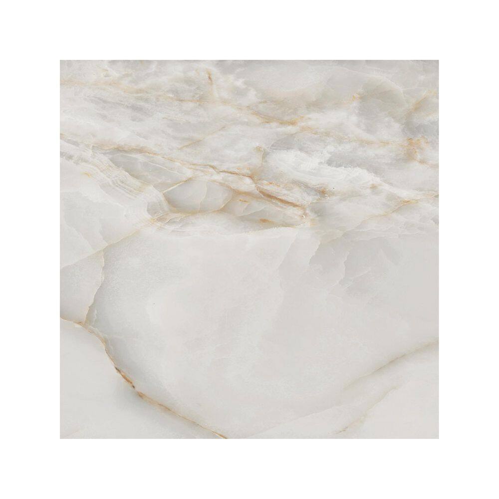 American Onyx Grey 4 in. x 4 in. Matte Marble Look Porcelain Floor and Wall Tile Sample price history on PriceWatchPro