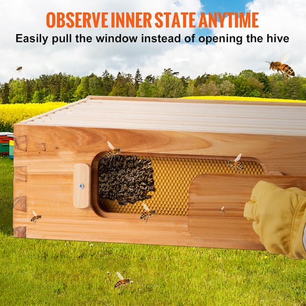 VEVOR Bee Hive 10-Frame Complete Beehive Kit 100% Beeswax Natural