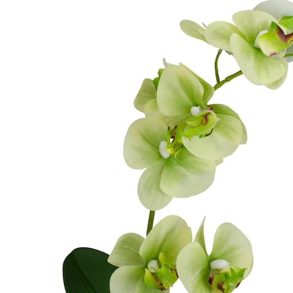 14 in. Ivory Green and White Artificial Orchid Potted Plant Tabletop Decor