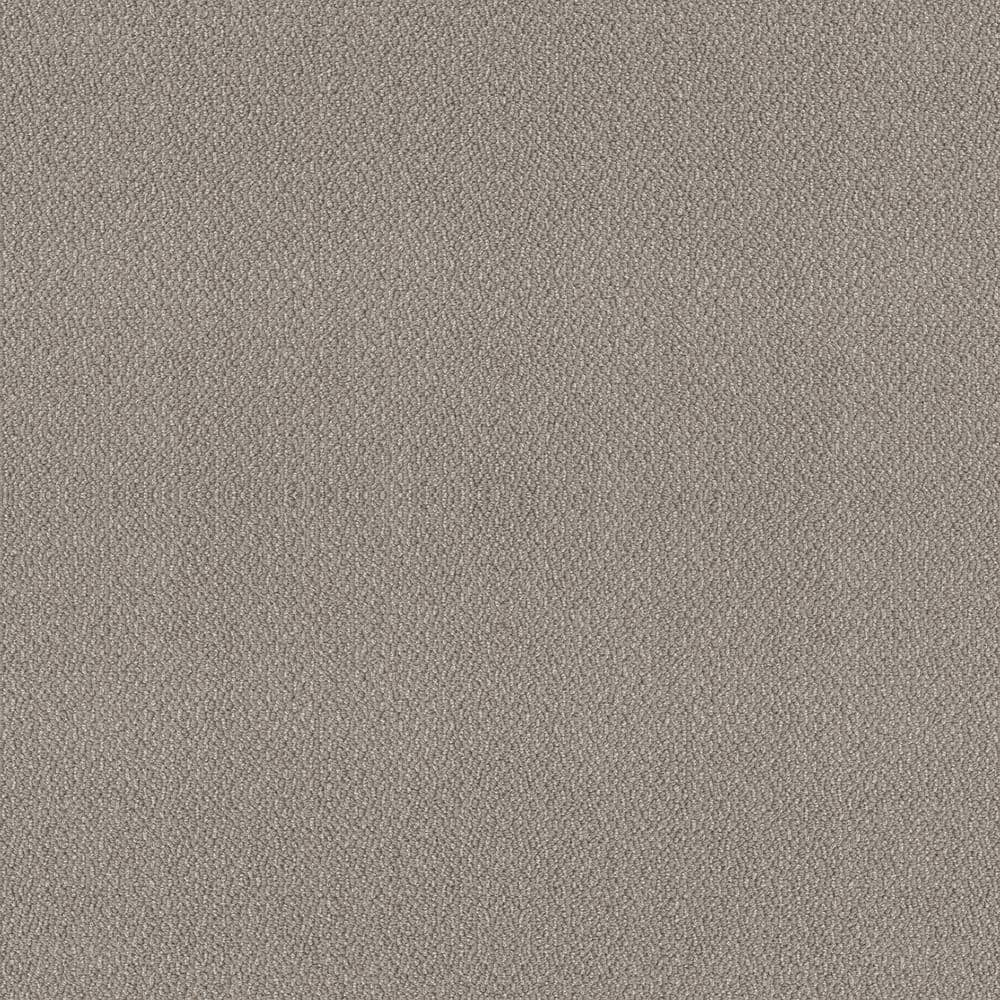 8 in x 8 in.  Loop Carpet Sample - Tower Road - Color Frozen Pond price history on PriceWatchPro