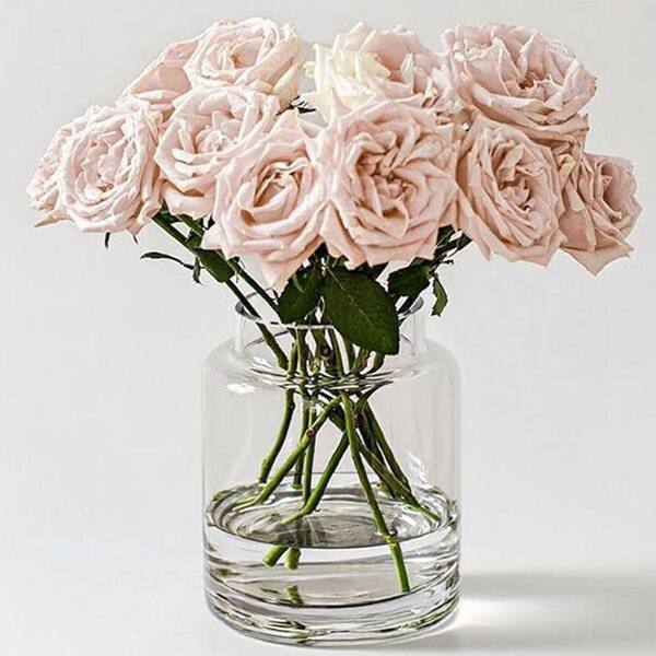 9 Inch Large Clear Glass Vase, Glasses Home Decor Modern Jarrones