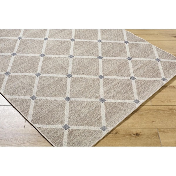 4 ft. x 6 ft. Gray Judie Modern Indoor Area Rug