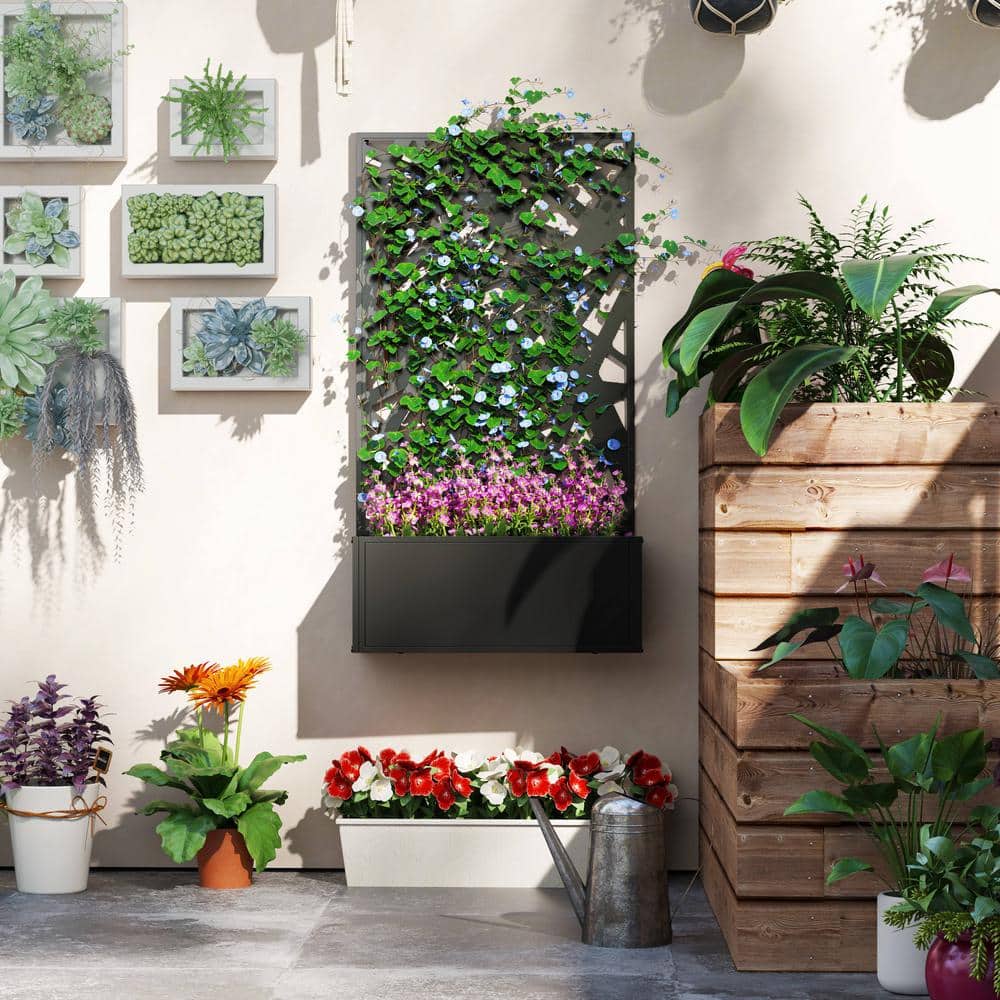 Black Metal Raised Garden Bed with Decorative Trellis Screen