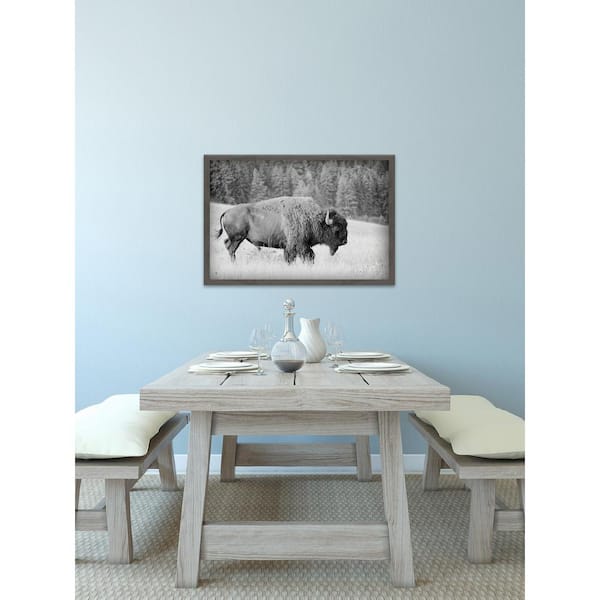 Unbranded 20 in. H x 30 in W "Buffalo Grazing" by Marmont Hill Framed Printed Canvas Wall Art
