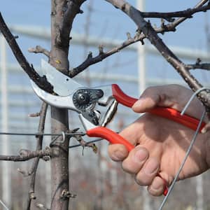 F2 3 in. High Performance Pruning Shears with 1 in. Cut Capacity, Classic Model, The Original