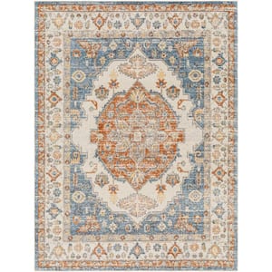 Lillian SkyBlue/Brown 9 ft. x 12 ft. Indoor Area Rug