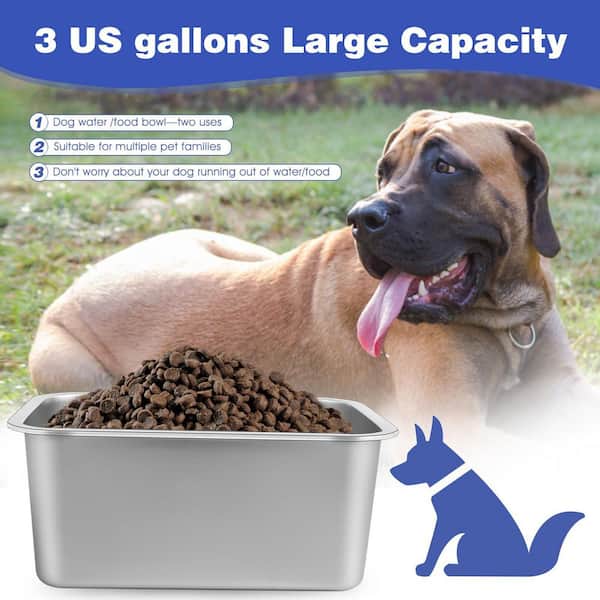 best cat litter tray box PawsPik® Top Entry Cat Litter Box & Scooper (XL, Made with 304 Stainle