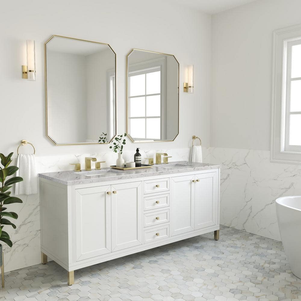James Martin Vanities Chicago 72.0 in. W x 23.5 in. D x 34 in. H