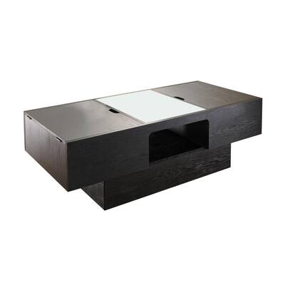 Aiden 48 in. Black Large Rectangle Wood Coffee Table with Lift Top