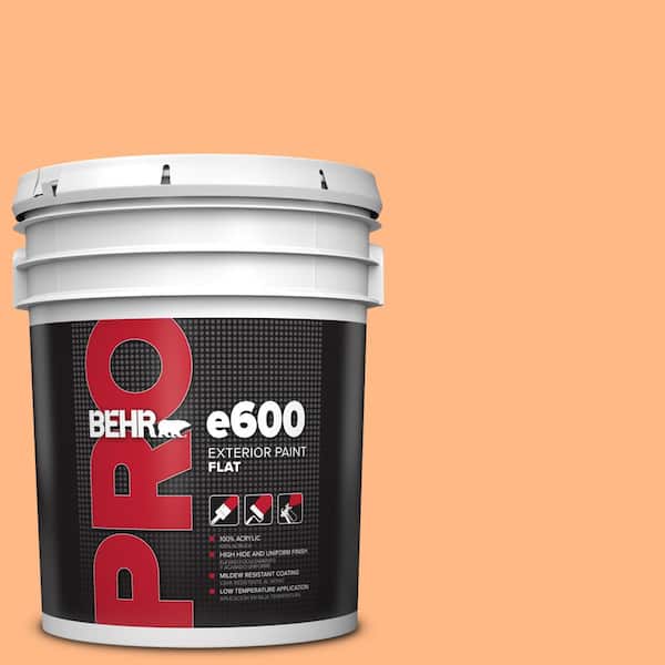 BEHR PRO 5 gal. #250B-4 Coral Gold Flat Exterior Paint