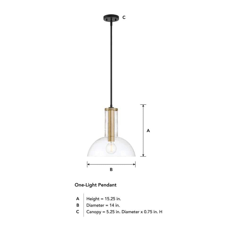 Nova 14-inch Matte Black and Brushed Gold Modern Pendant Light