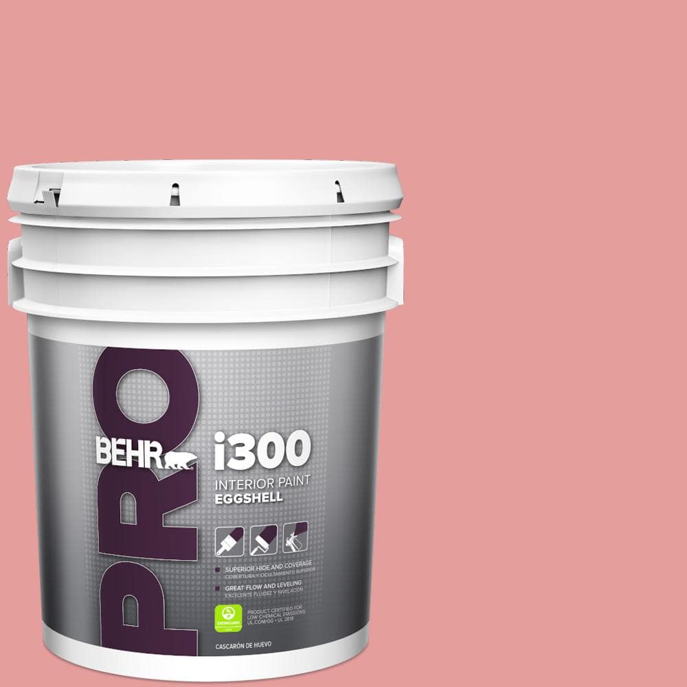 5 gal. #150D-4 Pale Berry Eggshell Interior Paint price history on PriceWatchPro
