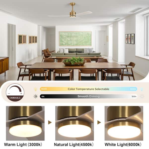 TOZING 52 in. Indoor Matte White and Gold Brushed Low Profile 3