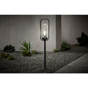 Caldwell Low Voltage Matte Black Finish LED Outdoor Landscape Path Light with Clear Seedy Glass