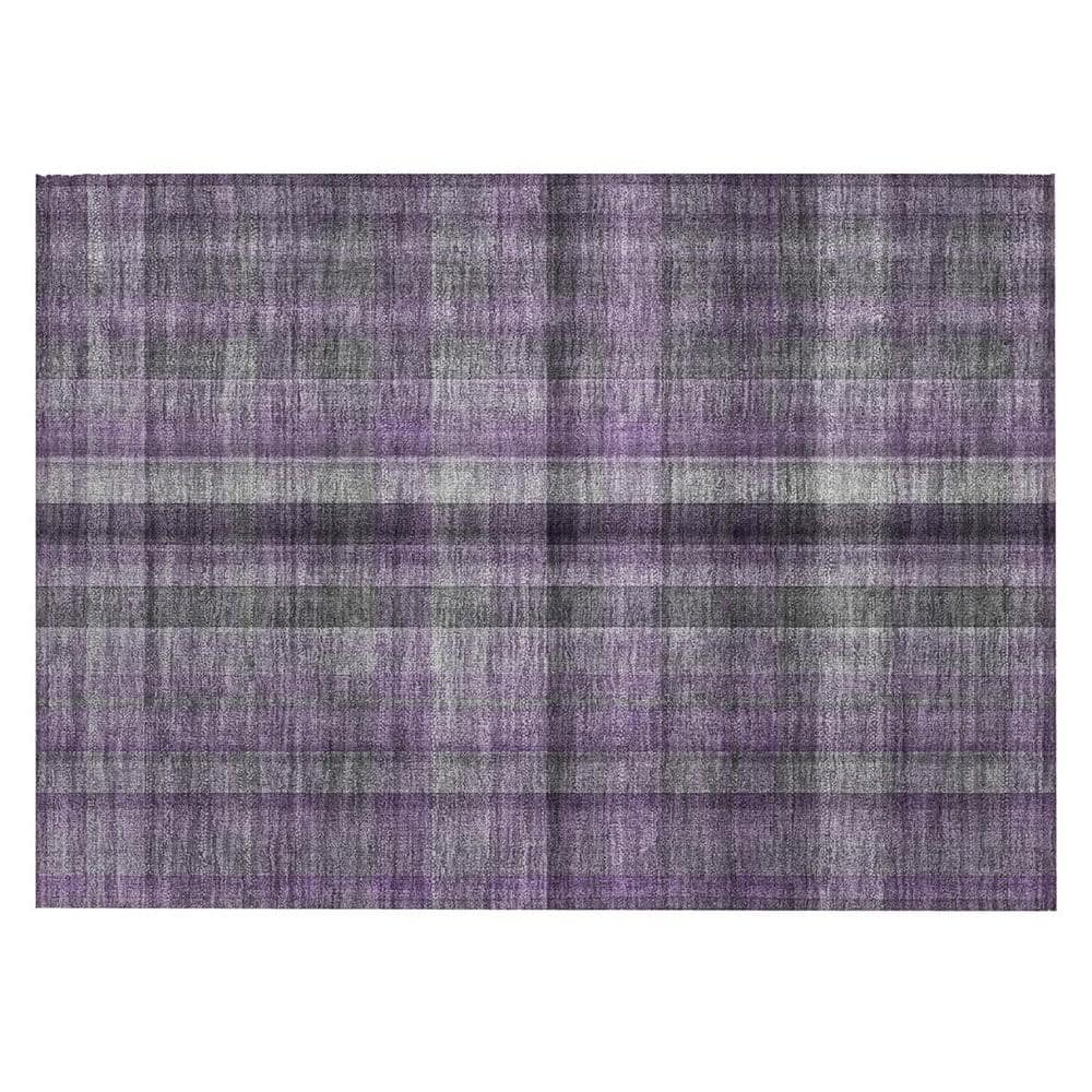 Purple 2 ft. x 3 ft. Woven Plaid Rectangle Indoor/Outdoor Area Rug price history on PriceWatchPro