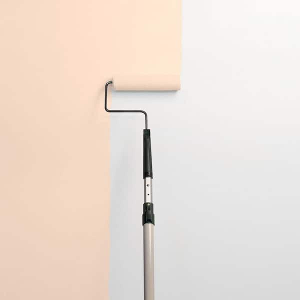 Sourpatch Peach PPG1200-2 Paint