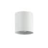 Dainolite Stanly 4.75 in. 1-Light Matte White Flush Mount Spotlight  STY-71SPT-MW - The Home Depot