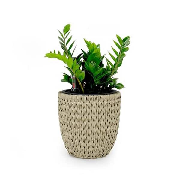 Benjara 14.6 L x 14.6 W x 14.6 H in. Round Beige and Black Indoor/Outdoor Wood Floor Planter