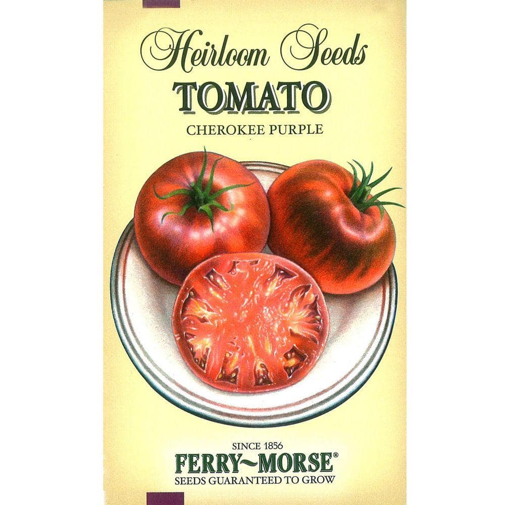 Chef's Choice Purple Hybrid Tomato