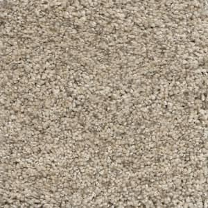 Nimble Creek - Lodge - Beige 32 oz. SD Polyester Texture Installed Carpet