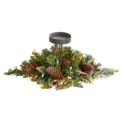 Norfolk Pine Christmas Plants Indoor Christmas Decorations The Home Depot