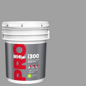 5 gal. #PPU26-06 Elemental Gray Dead Flat Interior Paint