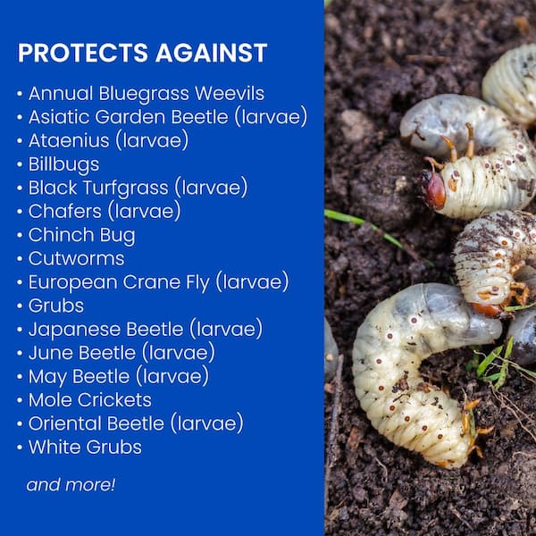 Mike's Q & A: Grub Worms & Nematodes - Russell Feed & Supply