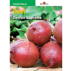 Beet Detroit Supreme Seed