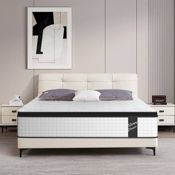 Queen Medium Foam Plush Hybrid Euro Top 12 in. Bed-in-a-Box Mattress