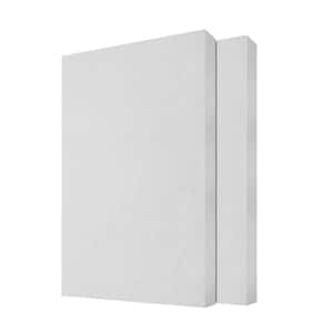 1 in. x 24 in. x 48 in. White Sound Absorbing Acoustic Panels for Office, Studio, Home Theatre, Wall, Ceiling(2-Pack)