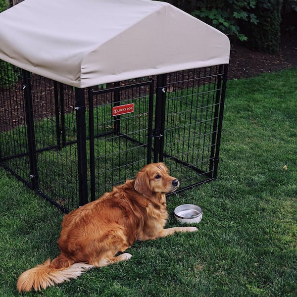 doghome 1ZJ34819781bd1ec5.jpg