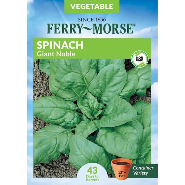 Ferry-Morse Spinach Giant Noble Vegetable Seed