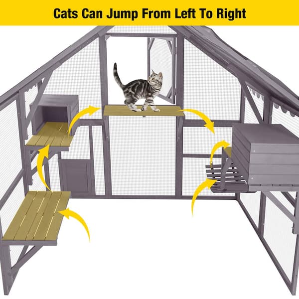 aivituvin Outdoor Cat Run : Large Cat Enclosure AIR52-M - The Home