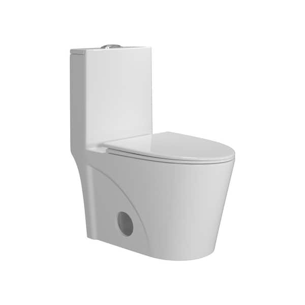 RAINLEX 12 in. 1-Piece 1.0/1.6 GPF Dual Flush Elongated Toilet in White Seat Included