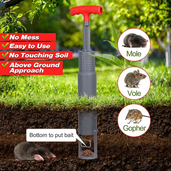 Single Gopher Trap Mole Trap Vole Trap Quick & Clean Mole Killer Outdoor  Gopher Eliminator Reusable Lawn Mole Plunger GTS-002 - The Home Depot