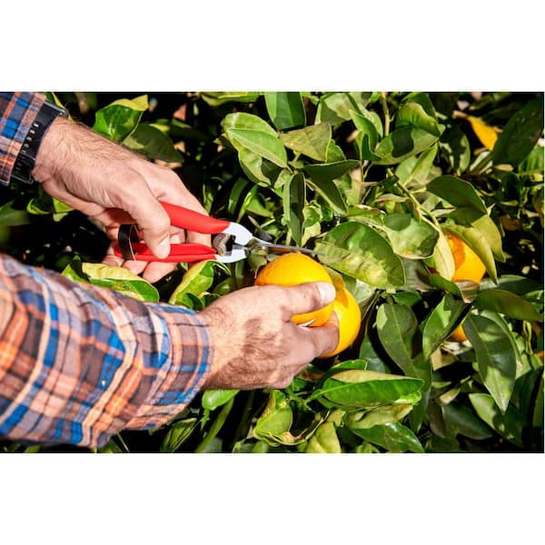 1.75 in. Stainless Steel Long Curved Snips