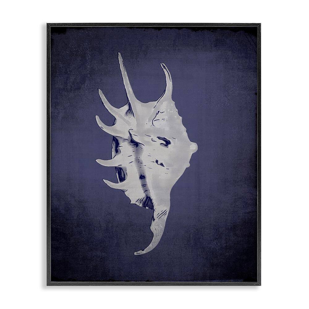 Spider Conch on Indigo by Graffi tee Studios Black Framed Coastal Giclee Art Print 14 in. x 11 in. price history on PriceWatchPro